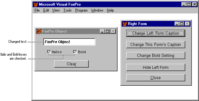 FoxProObjectForm screenshot